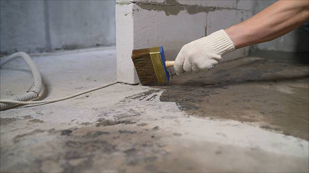SJ Waterproofing Pros Waterproofing coverage map for Park Hall, MD and surrounding area